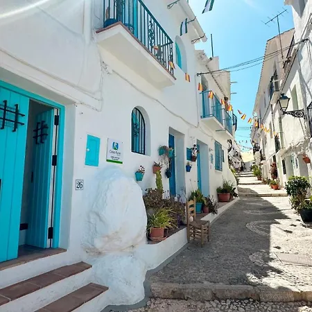 Andalusian In Frigiliana