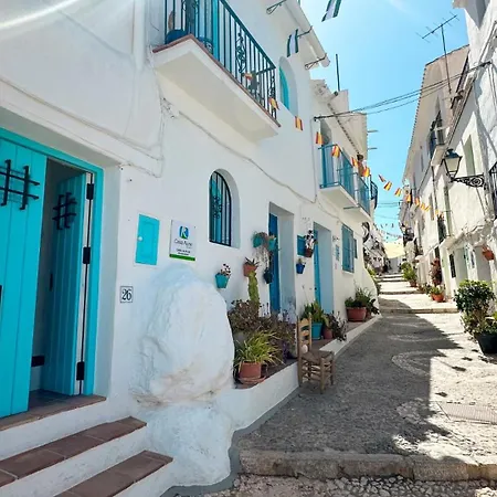 Andalusian In Frigiliana