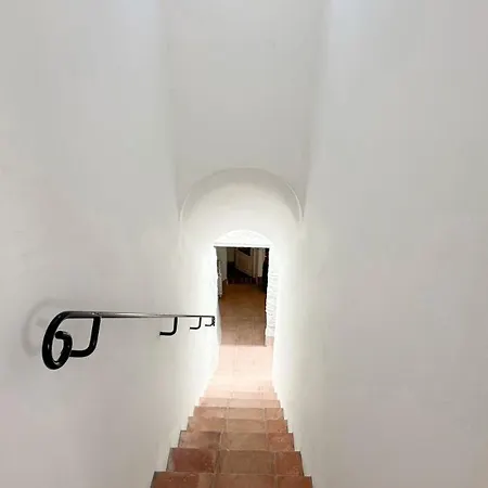 Andalusian In *